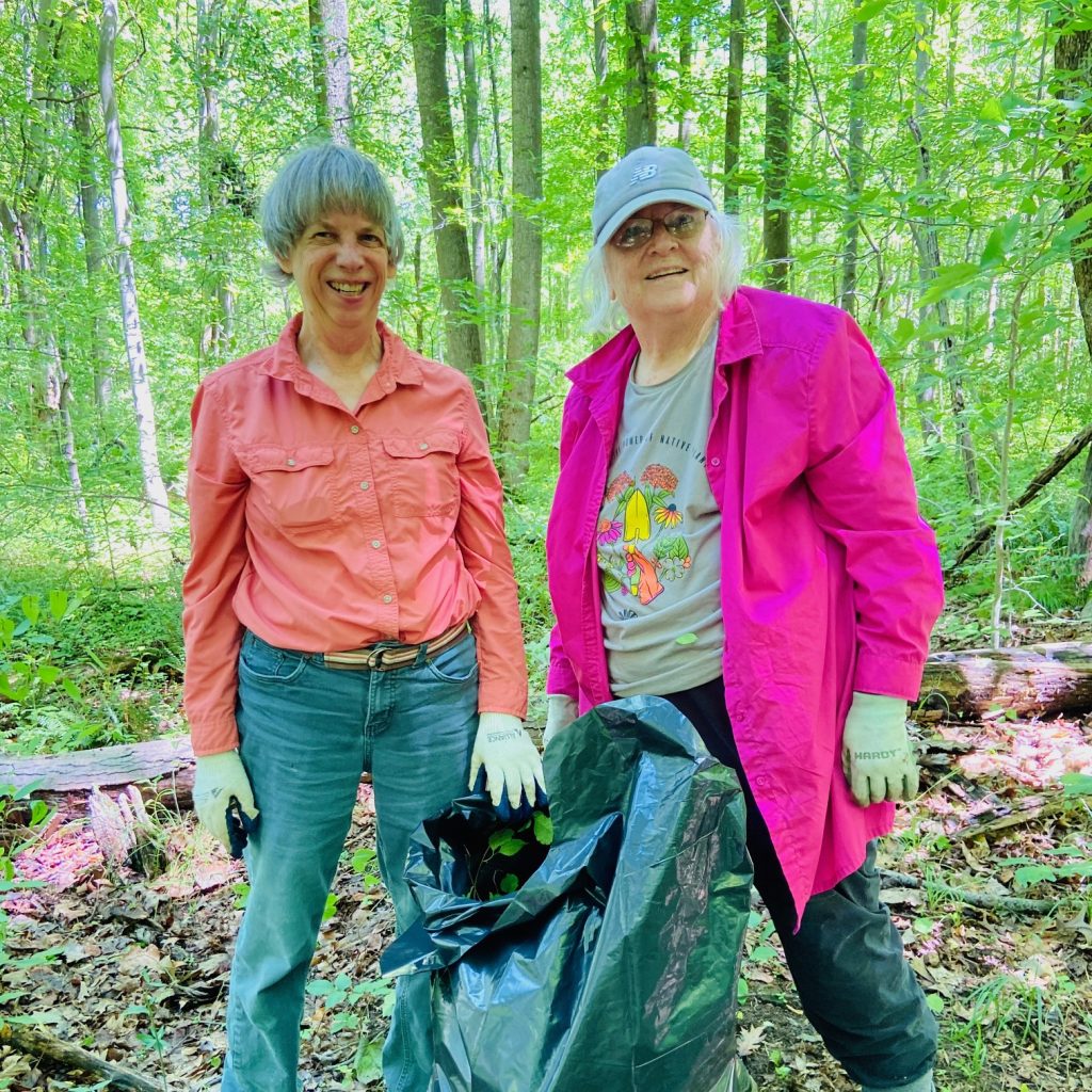 Healthy Forests Invasive Plant Removal Program Scenic Rivers Land Trust 